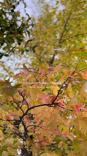 COME TO ME, ALL YOU WHO ARE WEARY AND BURDENED, AND I WILL GIVE YOU REST MATTHEW 11:28 | TPR