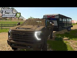 Hauling bulls - (Grandpas Ranch)