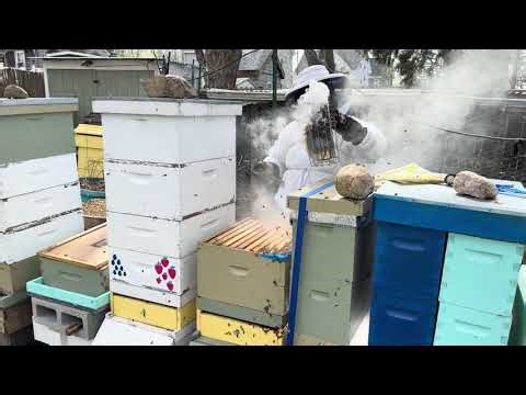 Spring be keeping: swapping bottom box with upper box