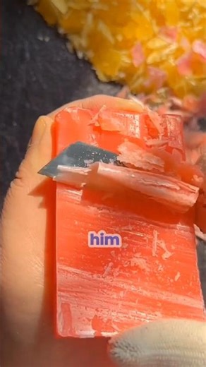 A New Student Changed My School Life Forever