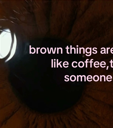 Brown Things Are Beautiful: Coffee, Trees, and Someone’s Eyes