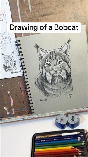 "How-to-Draw Wildcats of the Americas: A Graphite Guide" is available for download and pickup