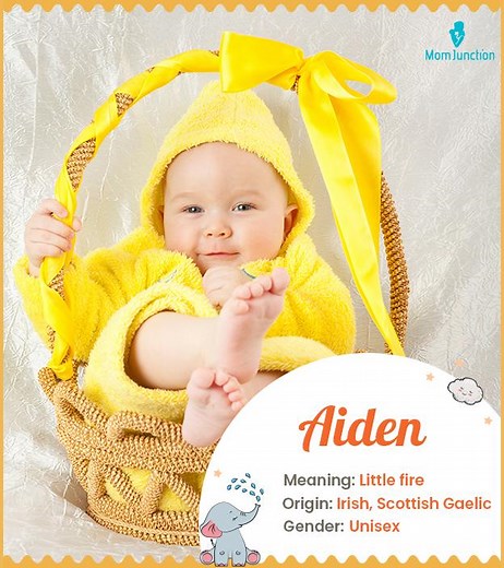 Aiden Name Meaning, Origin, History, and Popularity