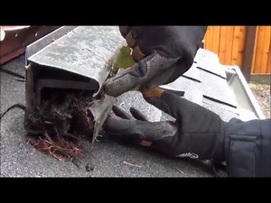 Leaf Guard versus Gutteglove Pro