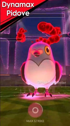 Dynamax Pidove vs Wooloo (Pokemon GO)