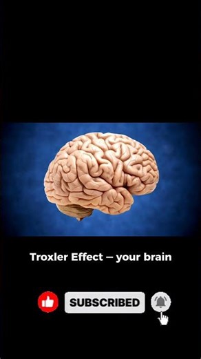 Your Brain Can Glitch in 10 Seconds 😳 | Mind-Blowing Human Fact #shorts