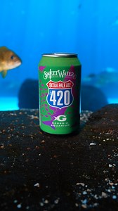 4.1K views · 140 reactions | We're so hoppy to announce our new...