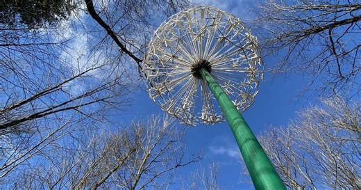 This magical Ontario forest has been hiding over 40 extraordinary sculptures among its trees for 25 years