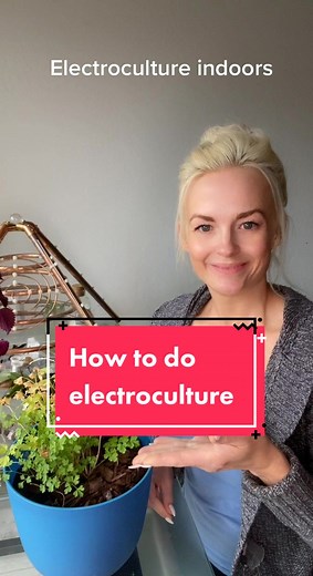 Electroculture Indoor Plant Guide: Tips and Tricks