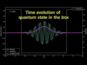 Time evolution of quantum state in the box