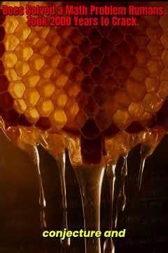 Bees Solved a Math Problem Humans Took 2000 Years to Crack. #unexplained #facts #blinknuggets