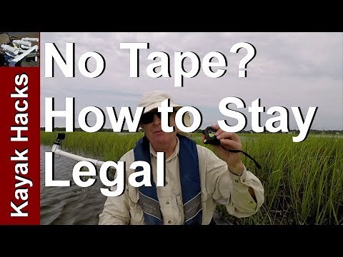 How to Measure Fish Length without a Tape or Ruler