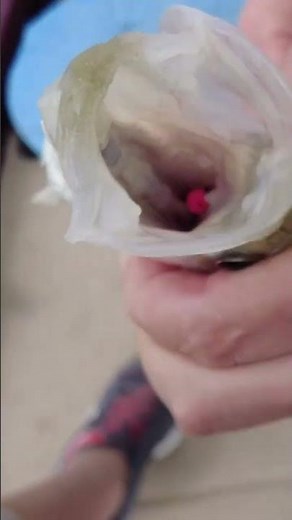 Do Slab Bites Really Work?