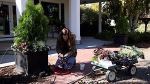 Container Refresh and Other Random Projects! 🍂👩‍🌾 | Garden Answer