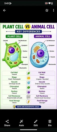 Plant Cell Vs Animal cell 🔥
