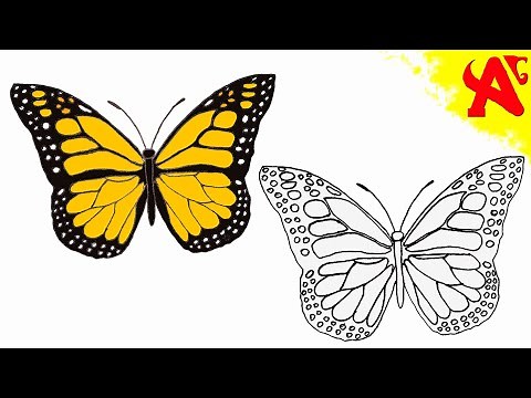رسم فراشة بالخطوات | تعليم رسم فراشة بطريقة سهلة