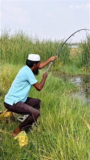 Rohu fishing amazing hook catching fisherman #fishing #fish #bigfish #millionviews