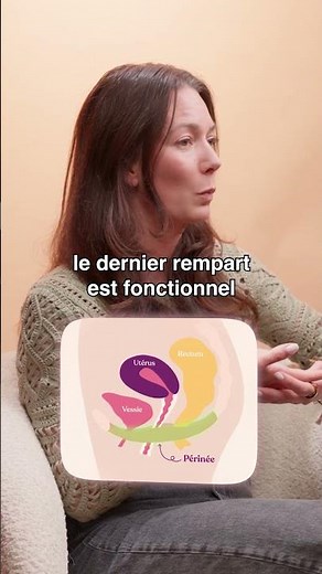 Qu'est ce que les descentes d'organes ?