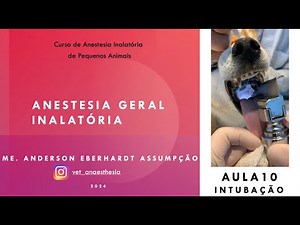Inhalation Anesthesia Class Class 10/12 Intubation in dogs and cats