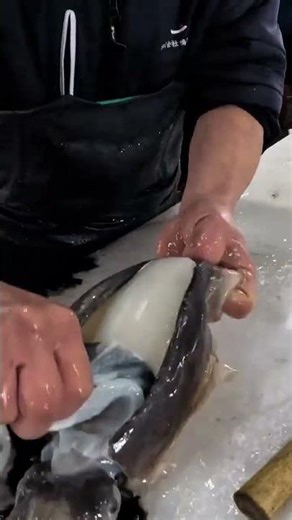 How to Cut a Cuttlefish Like a Pro – Quick & Easy Seafood Prep! #cuttlefish