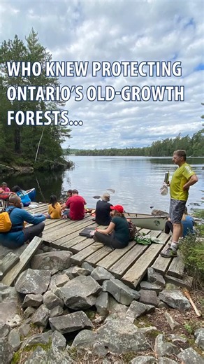 🌲Come revel in the old-growth-iness of Temagami with us!