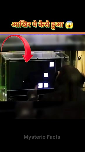 Chimpanzee Vs Human IQ Test 😱