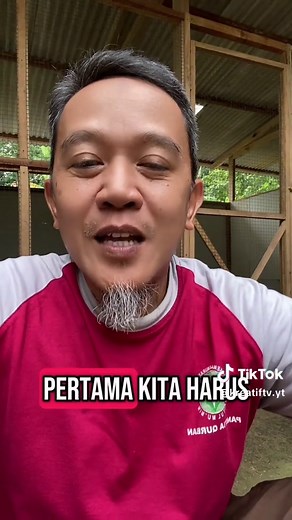 Budidaya Ayam Kampung: Tips & Trik Ternak Sukses