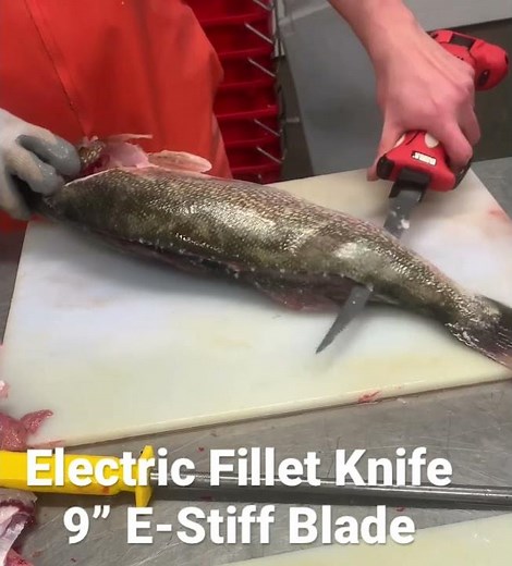 Processing Jumbo Pickerel ( Walleye ) With An Electric Fillet Knife ( Bubba Blade )