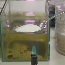 Video: Novel Production Protocol for Small-scale Manufacture of Probiotic Fermented Foods