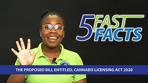 1.9K views · 15 reactions | 5 fast facts about the proposed Bill entitled, Cannabis Licensing Act 2020. | Government of the Virgin Islands | Facebook
