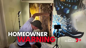 Tonight on 7NEWS: The Brisbane homes infested with bees. First come the scouts, then the swarm, then the invasion. Bee hives in homes - a growing problem. Report on 7NEWS at 6pm. More local news: 7news.com.au/news/qld #7NEWS | 7NEWS Brisbane