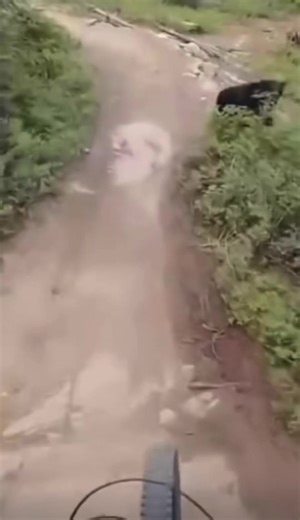 Hackneyed5 (@hackneyed5)’s videos with original sound - Hackneyed5