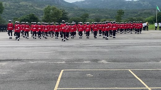 Military Ceremony Featuring Uniformed Troops in Formation