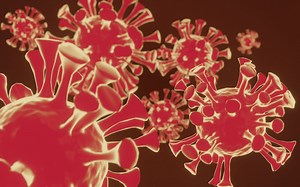 用 Blender 做病毒