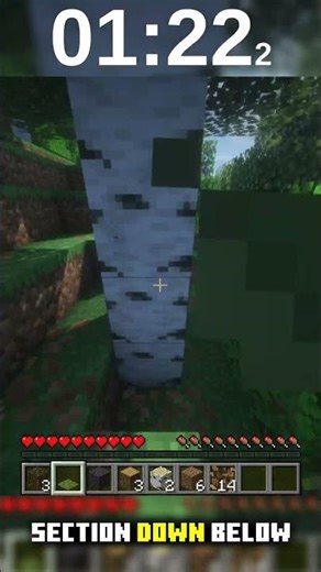 I Ran in a Straight Line Until Minecraft BROKE… 😳 (Floating Blocks Found)