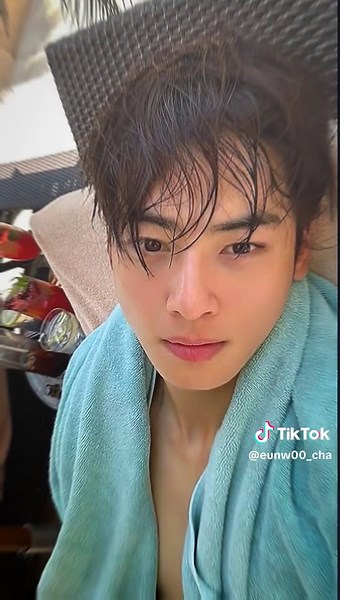 Cha Eun Woo: Aesthetic Video Edits