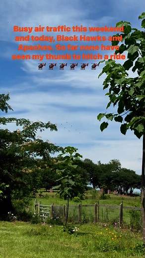 Rippin’ Reaper Fishing on Reels