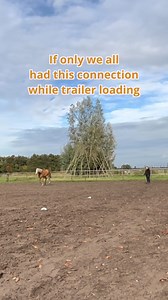 38K views · 970 reactions | Can you guess the trailer loading...