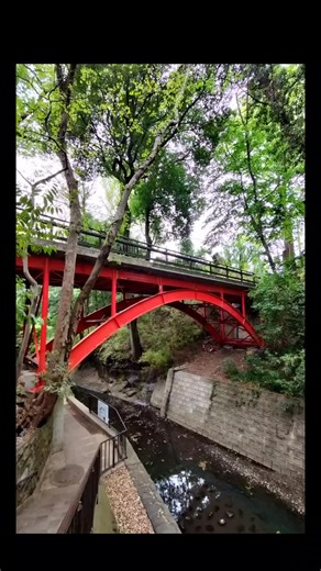 「等々力渓谷」渋谷から30分以内で行ける自然地域。人の少ない平日がオススメ✨️ #等々力渓谷 #新緑 #都内