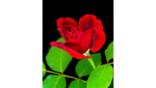 Random and Surprising Life Hacks