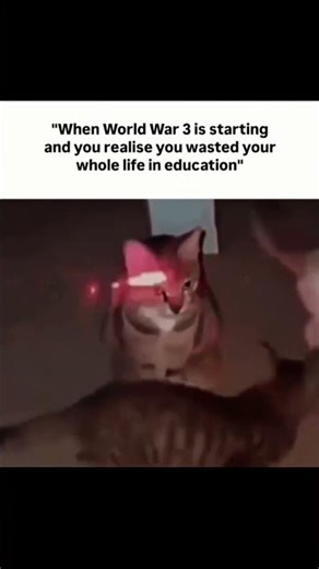 When WW3 hits and you wasted 16 years in school #relatable #meme #shorts