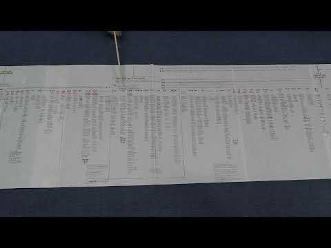 Revelation: A Literal and Chronological Timeline