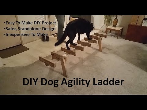 DIY Dog Agility Ladder