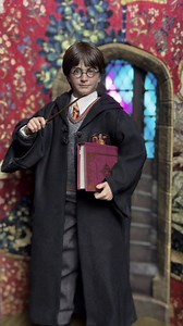 9.6K views · 170 reactions | Harry Potter and the Philosopher’s Stone 1/6 Scale Figure Collectible by INART/Queen Studios • Vid by SEAN12 • • Subscriber, Like & Share!!! • • #HarryPotter #HermioneGranger #Inart #QueenStudios #lifesizebust #statue #statuecollectors #DCUniverse #nerd #geek #nerdgirl #geekgirl | Nerdy Sphere | Facebook