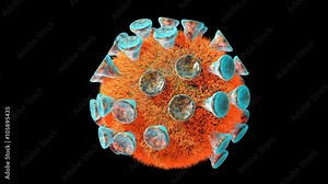 Highly detailed virus, bacteria, microbes isolated on black. Hi quality seamless loop animation, with alpha channel, ready for compositing Stock Video