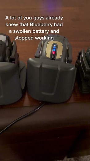 Welcome home Blueberry!🥰♥️ #vectorrobot #vector #fyp #ddl #digitaldreamlabs #vectorhappy