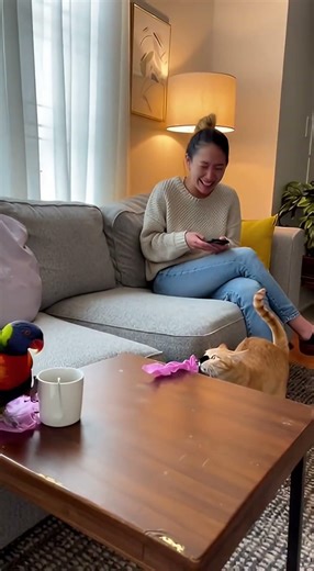 Evil Genius Parrot Pops Balloon to Wake Up the Sleeping Cat 爆笑突发！心机鹦鹉狠心啄爆气球，熟睡橘猫惨遭“飞天式”物理惊吓 🎈💥