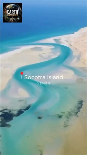 This Place Shouldn’t Be on Earth! 🌍😱 #Socotra #AlienIsland #Nature