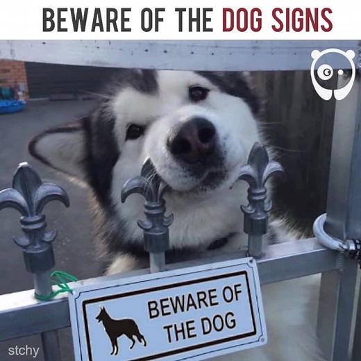 265K views · 1.5K reactions | Beware of the dog signs | Bored Panda | Facebook