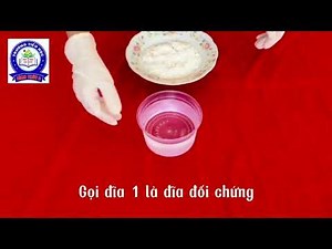 KHOA HỌC 4 | THÍ NGHIỆM “TÌM HIỂU TÁC DỤNG CỦA NẤM MEN VỚI BỘT MÌ”